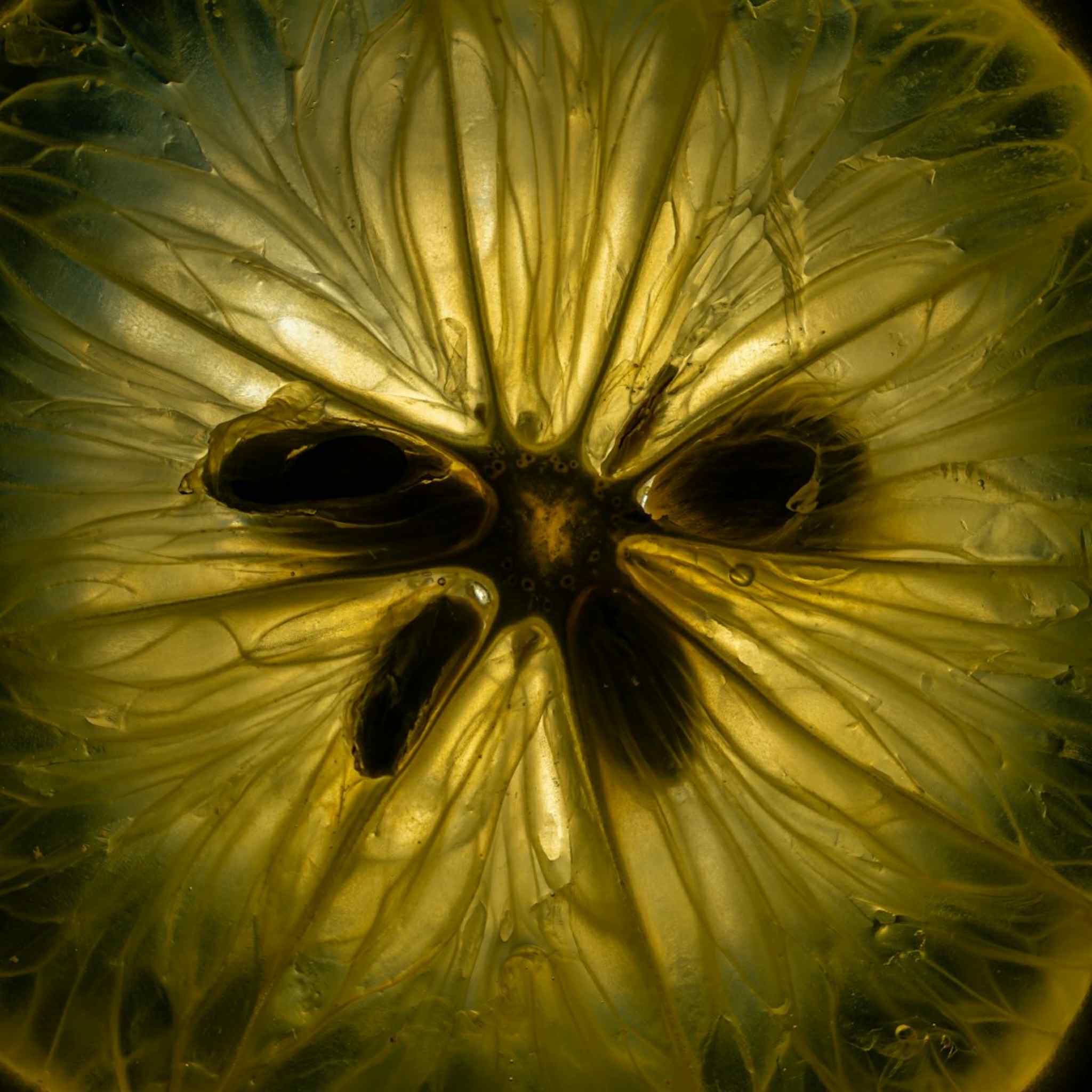 Sérum rénovateur cellulaire aux exosomes de pomme + niacinamide
