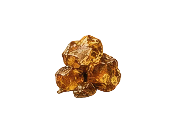 Ambre