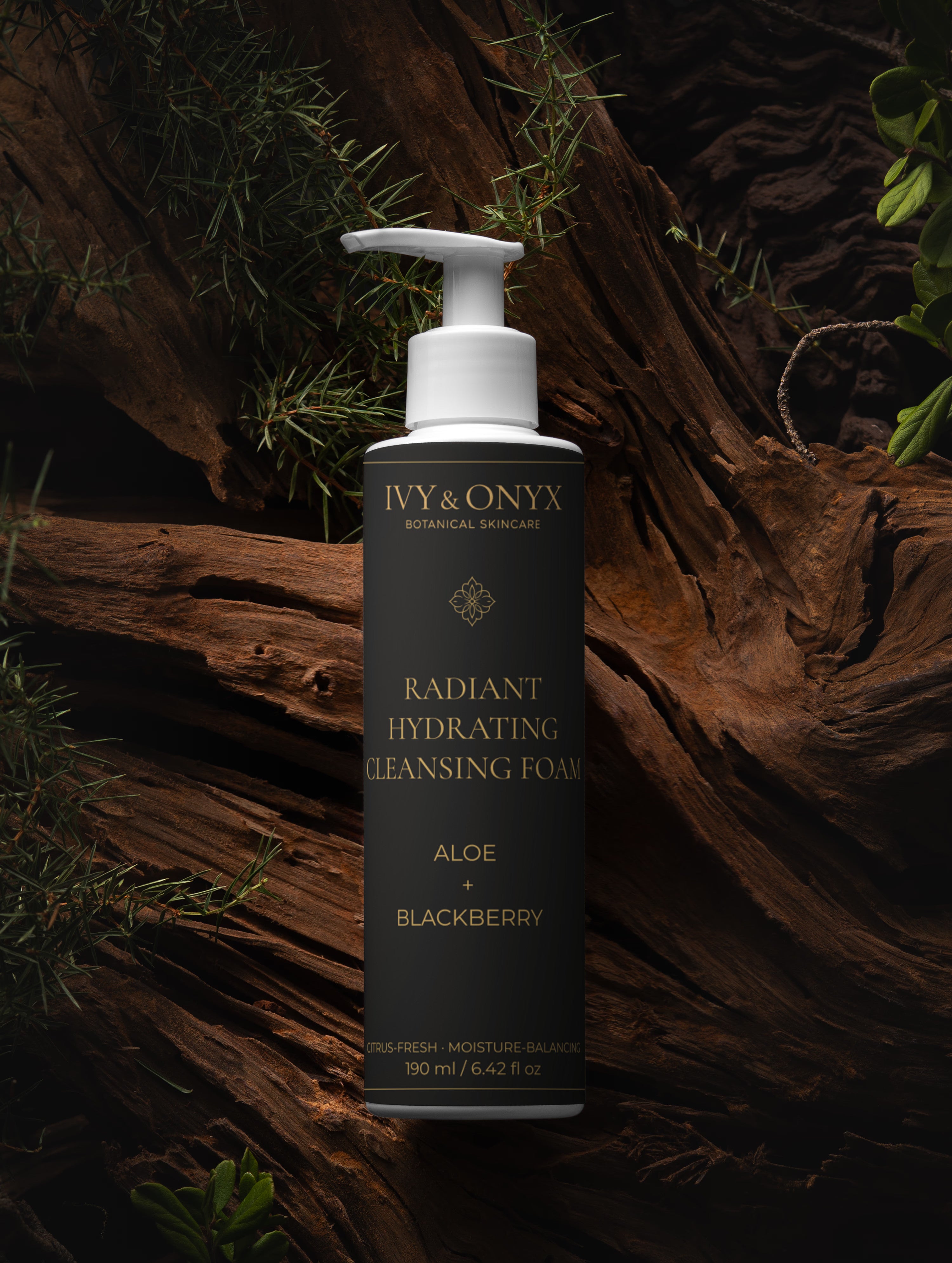 Purifying Mousse