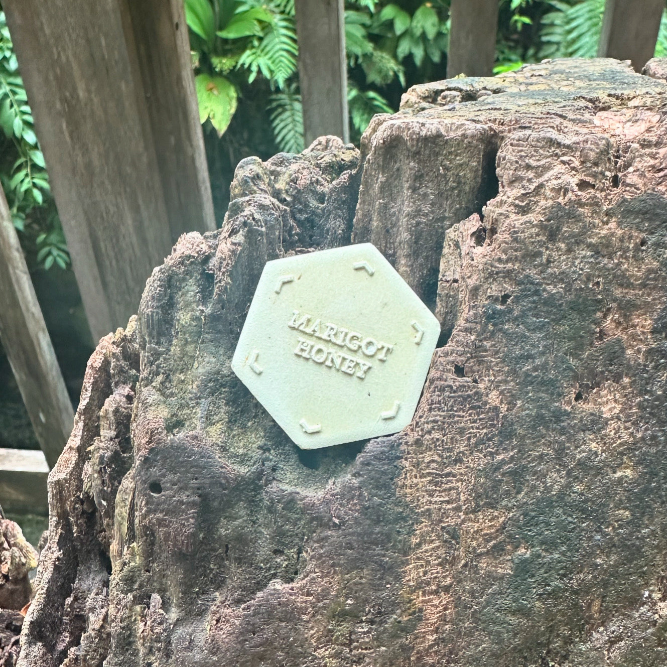 Marigot Honey Scent Coin-3