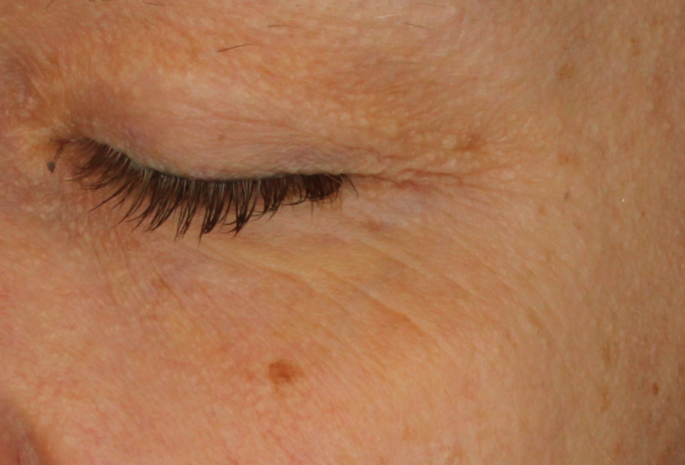 IVY & ONYX | Step 4: Firming Phyto-Retinol Eye Serum