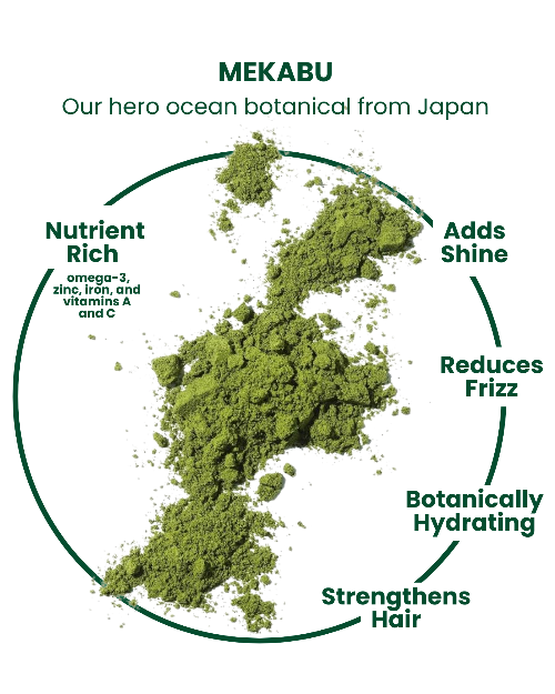 Pro-Ocean Refillable Conditioner Bottle-2